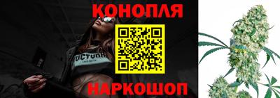 сатива Коммунар