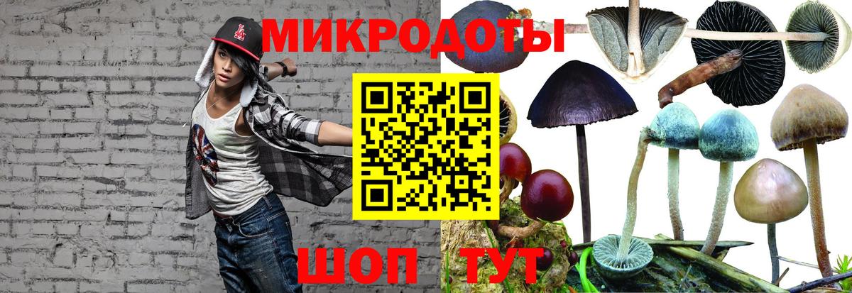 Галлюциногенные грибы MAGIC MUSHROOMS  Галлюциногенные грибы Psilocybe  Вход с VPN  Карачаевск 
